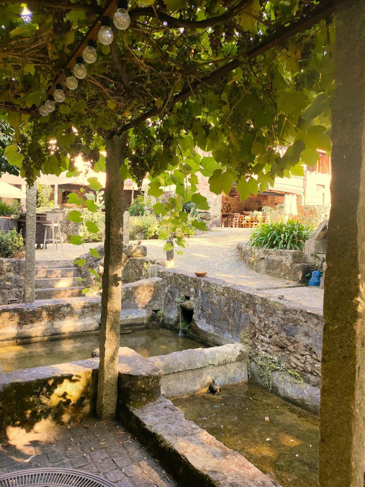 Quinta Padre Lobo Guest House Santa Maria da Feira Exterior photo